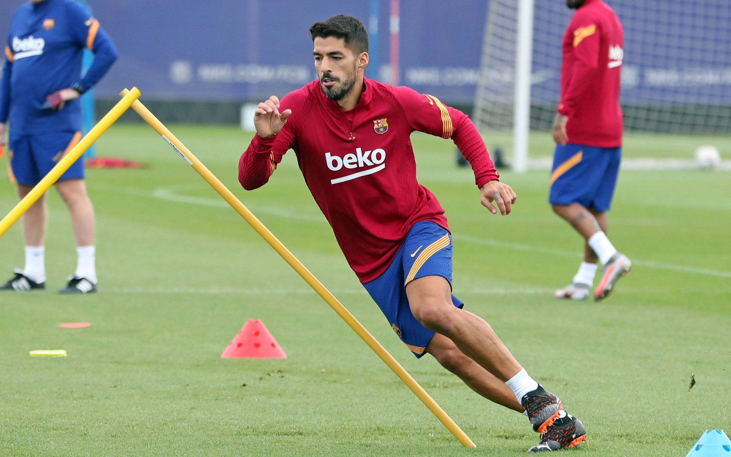 Lee más sobre el artículo Goleador de raza